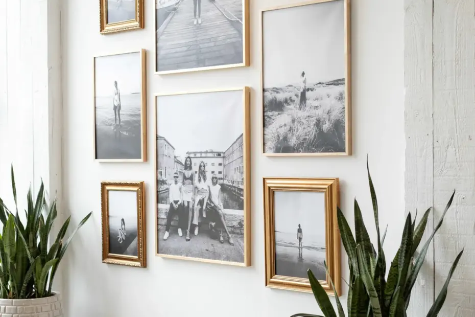 Photo Studio Color Palettes | Harmony Ideas for Darkroom & Studio Design | Timeless & Trendy