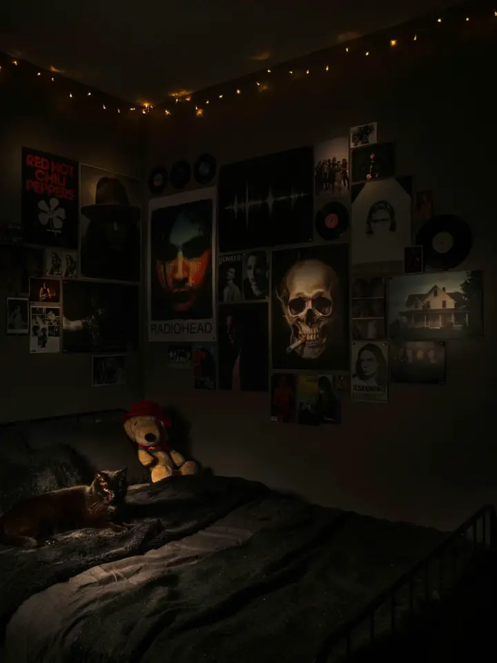 Darkroom Setup Ideas for Small Dorm Rooms | Room Decor & Cat Wall Art
