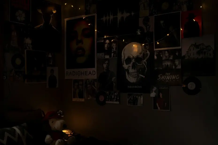 Darkroom Setup Ideas for a Dorm Room | Cat-Friendly Wall Decor & Room Inspo